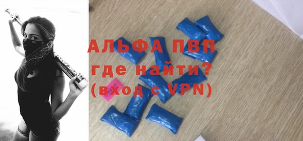 гидра Карпинск