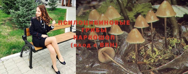 амфетамин Алексеевка