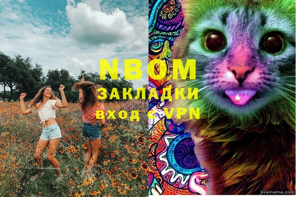 a pvp Алзамай