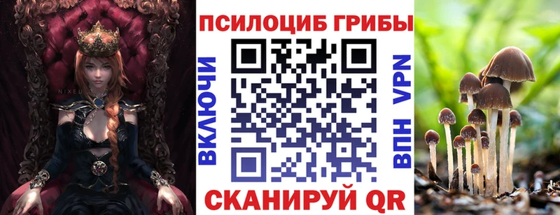 Галлюциногенные грибы Psilocybe  Серафимович 